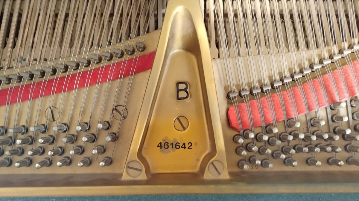 slide-image